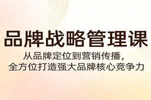 品牌战略管理课:从品牌定位到营销传播,全方位打造强大品牌核心竞争力