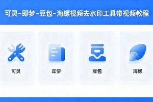 可灵–即梦–豆包–海螺视频去水印工具带视频教程
