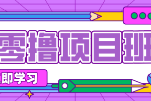 简单粗暴月入20万？揭秘教辅项目详细操作流程：普通人翻身的“神级赛道”！
