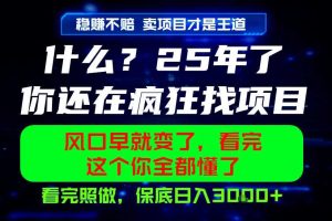 26年,请不要疯狂的找项目做了!卖项目才是真的稳賺不赔,看完照做,保底日入1k+【揭秘】